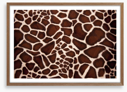 Animal Print