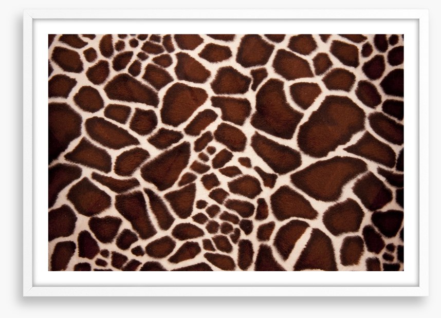 Animal Print