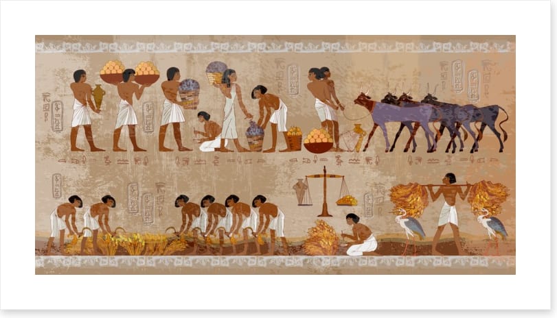 Hieroglyphic harvest
