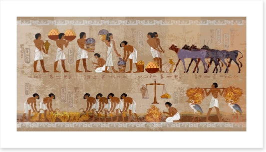 Hieroglyphic harvest