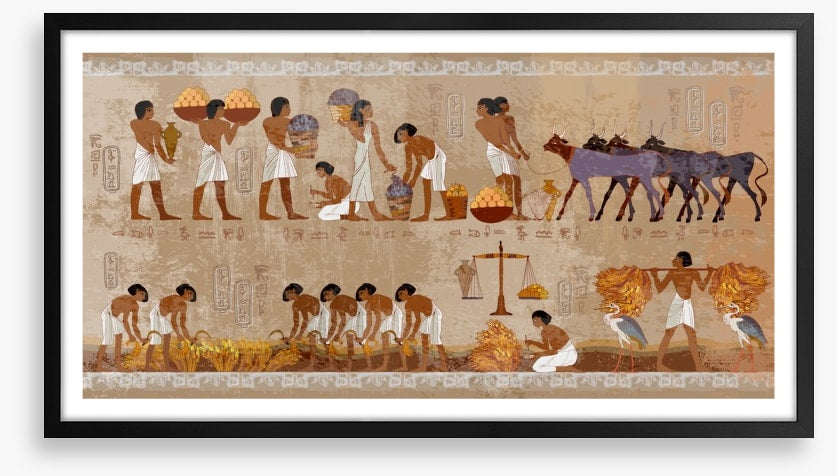Hieroglyphic harvest