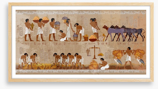 Hieroglyphic harvest
