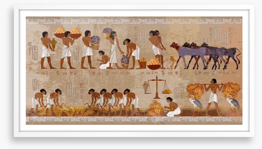 Hieroglyphic harvest