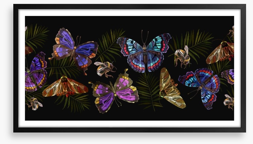 Butterflies