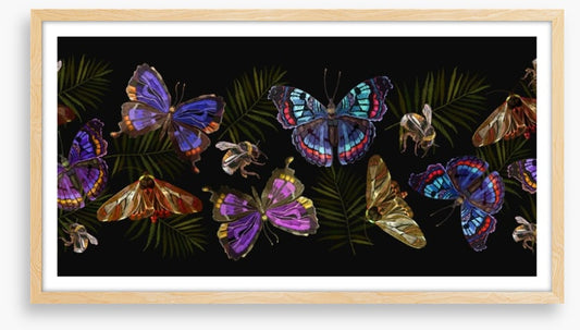 Butterflies