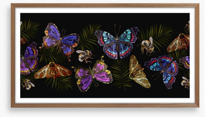 Butterflies