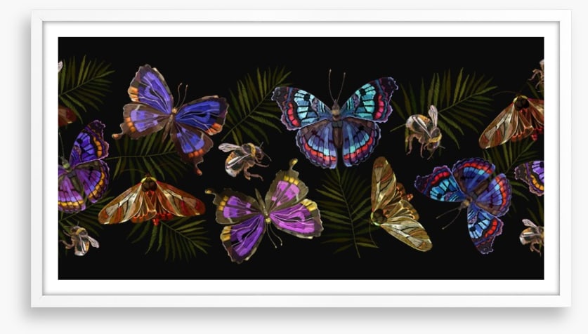 Butterflies