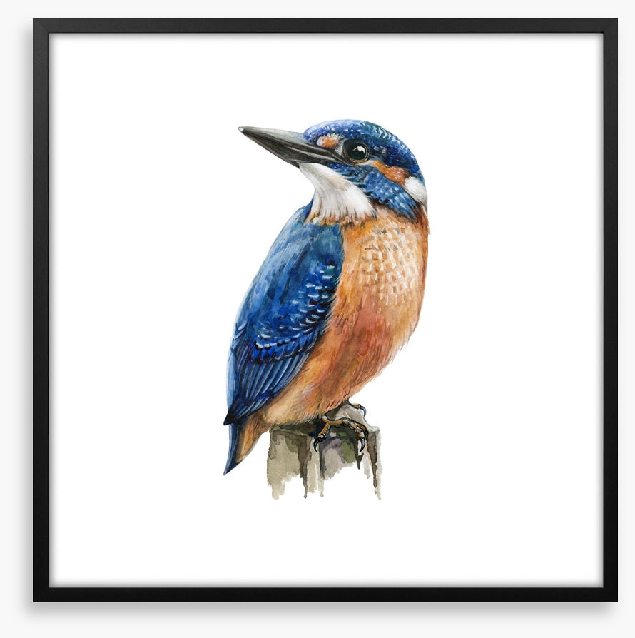 The kingfisher perch