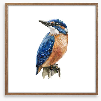 The kingfisher perch