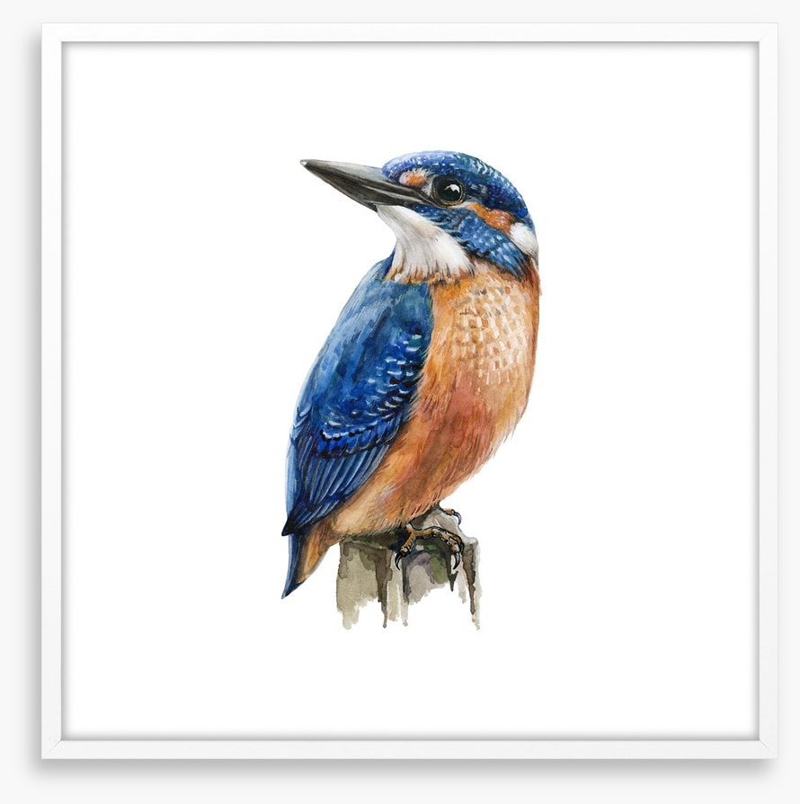 The kingfisher perch