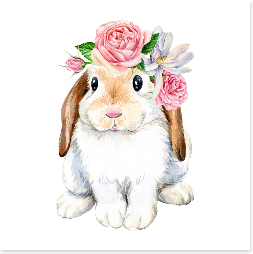Spring bunny