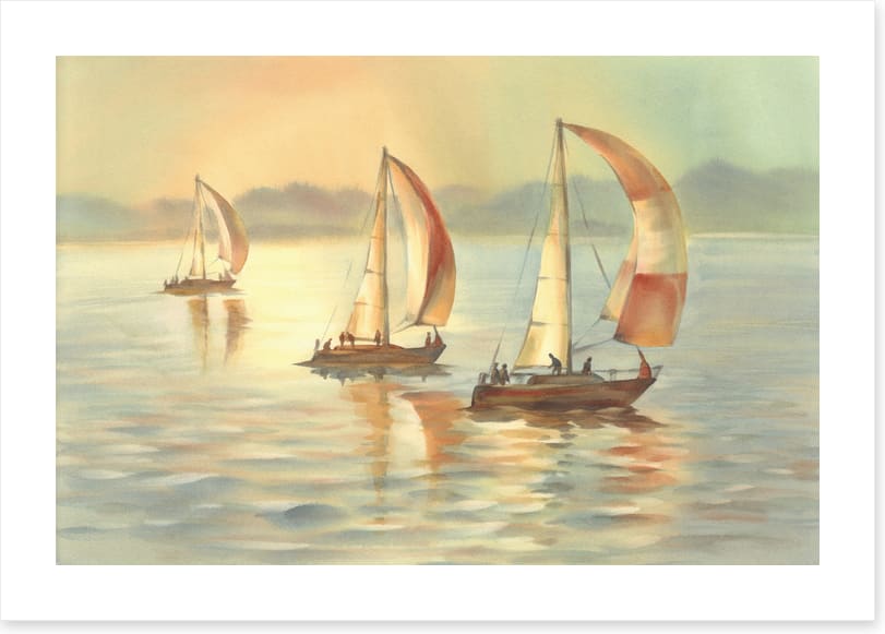 Golden evening yachts
