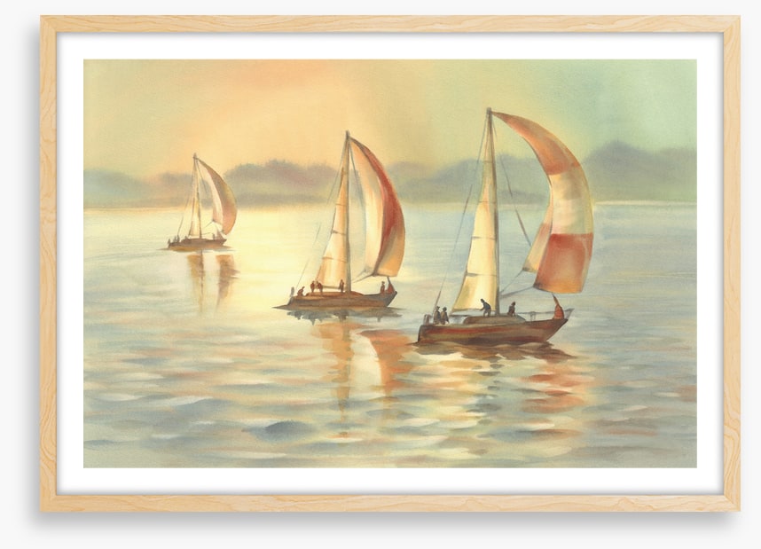 Golden evening yachts