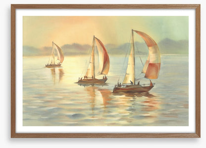 Golden evening yachts