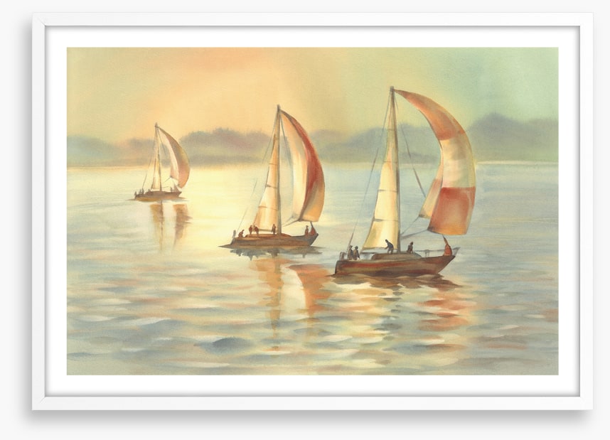 Golden evening yachts