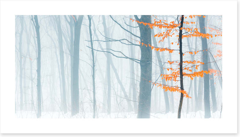 Clinging onto autumn