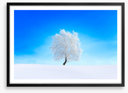 Snowy tree sky