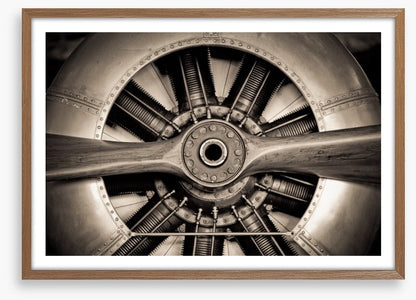 Antique aviation