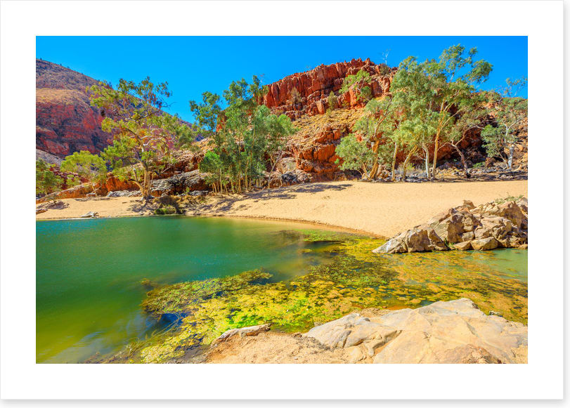 Gums in the gorge