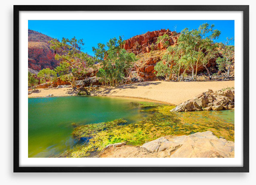Gums in the gorge