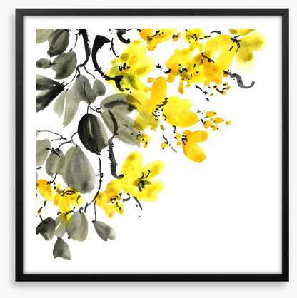 Yellow blossom branch