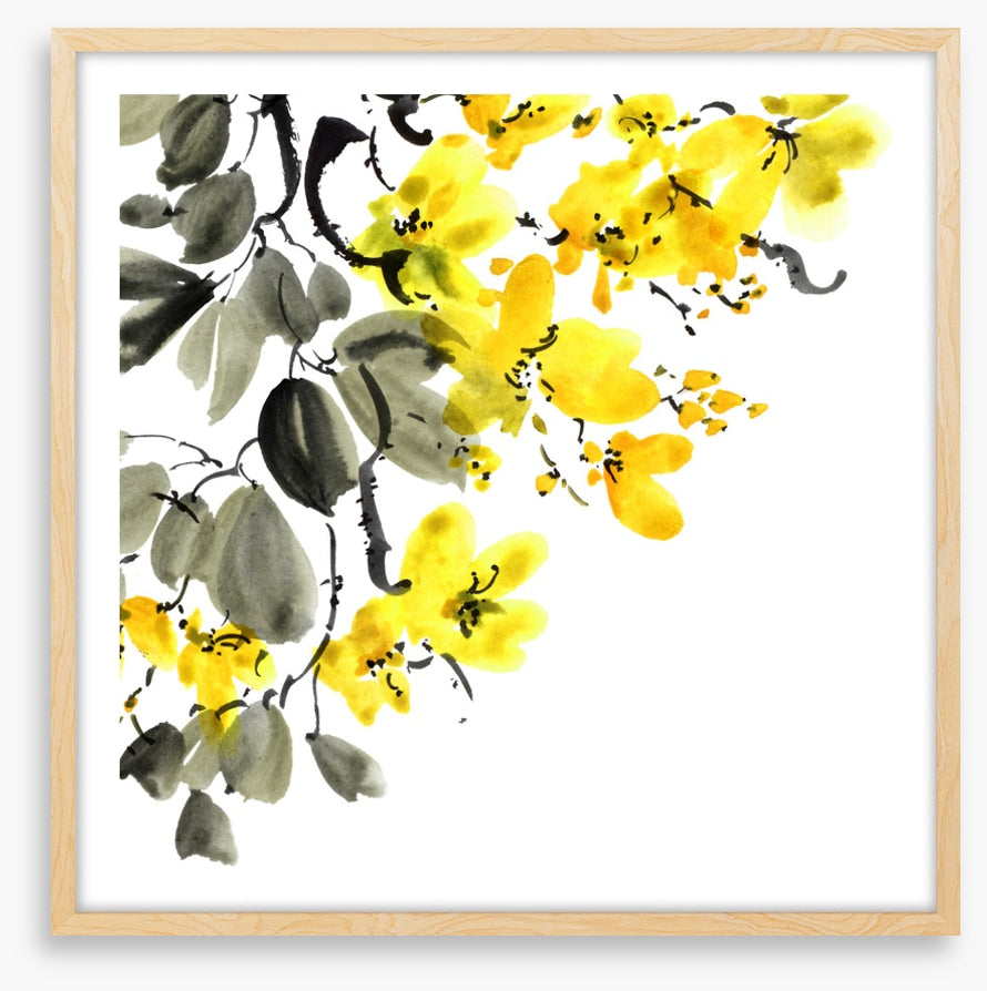 Yellow blossom branch