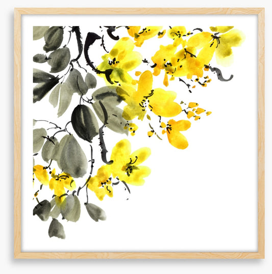 Yellow blossom branch