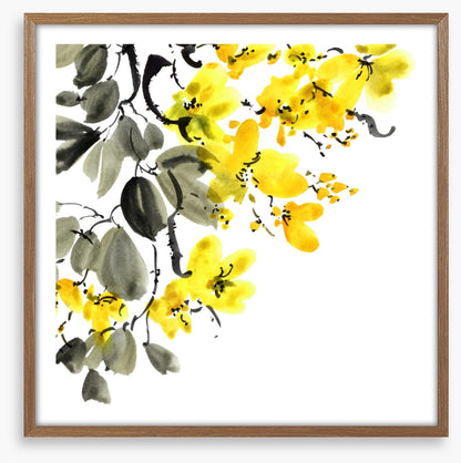 Yellow blossom branch