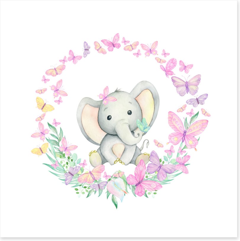 Baby elephant butterflies 1