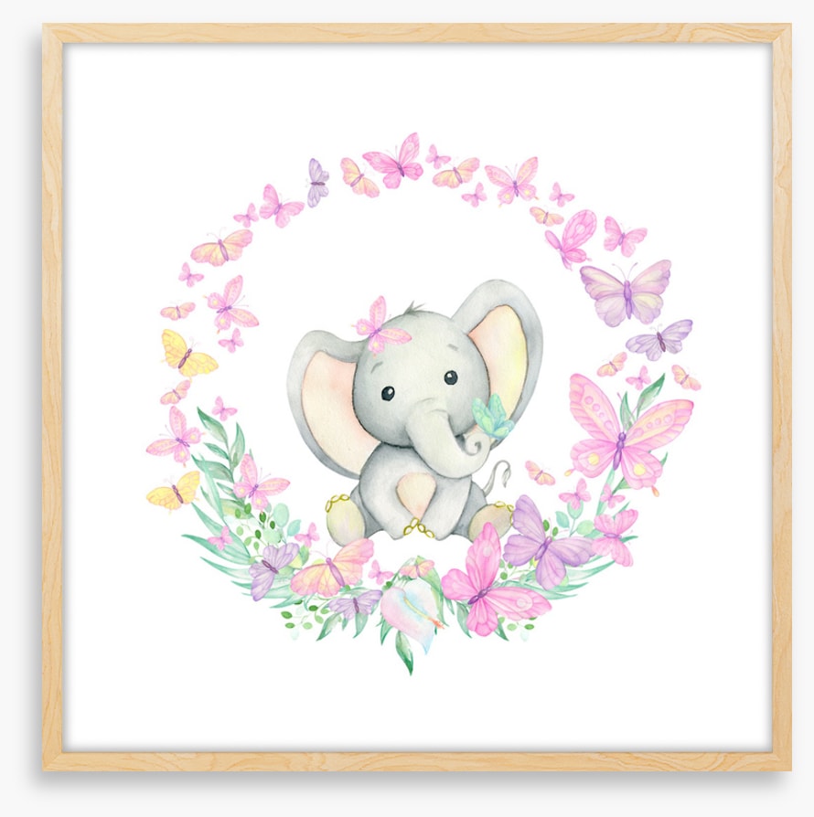 Baby elephant butterflies 1