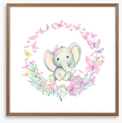 Baby elephant butterflies 1