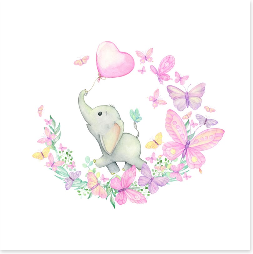 Baby elephant butterflies 2