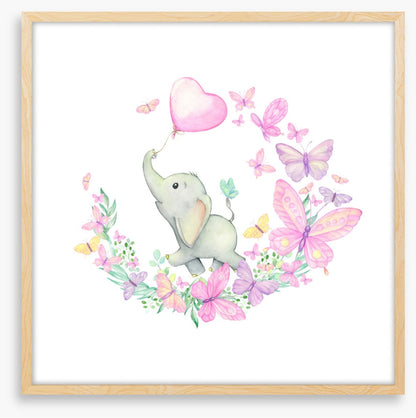 Baby elephant butterflies 2