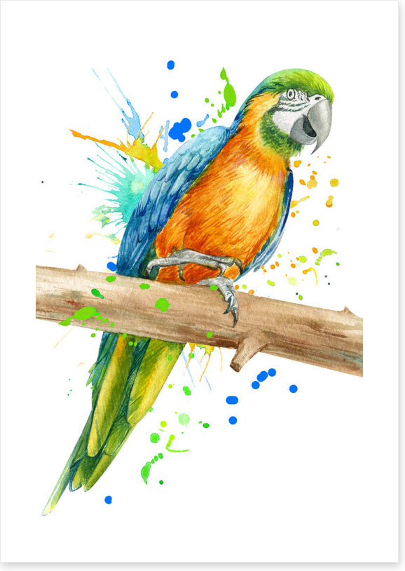 Pretty polly perch