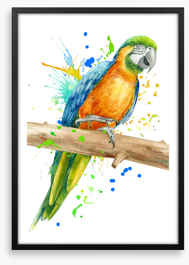 Pretty polly perch