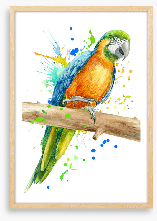 Pretty polly perch