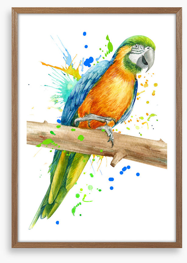 Pretty polly perch