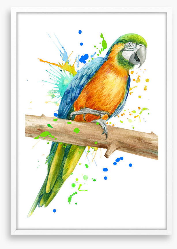 Pretty polly perch