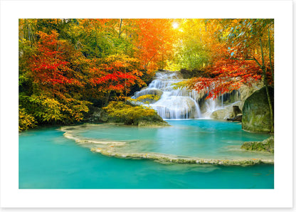 Autumn forest falls