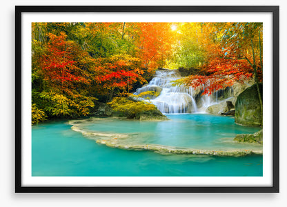 Autumn forest falls