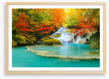 Autumn forest falls