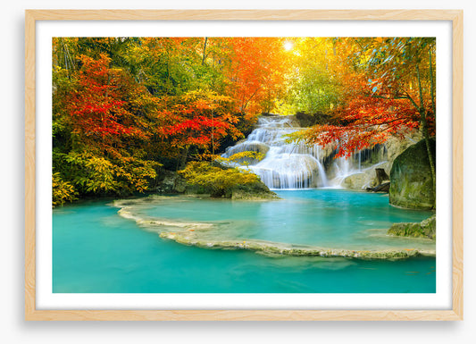 Autumn forest falls