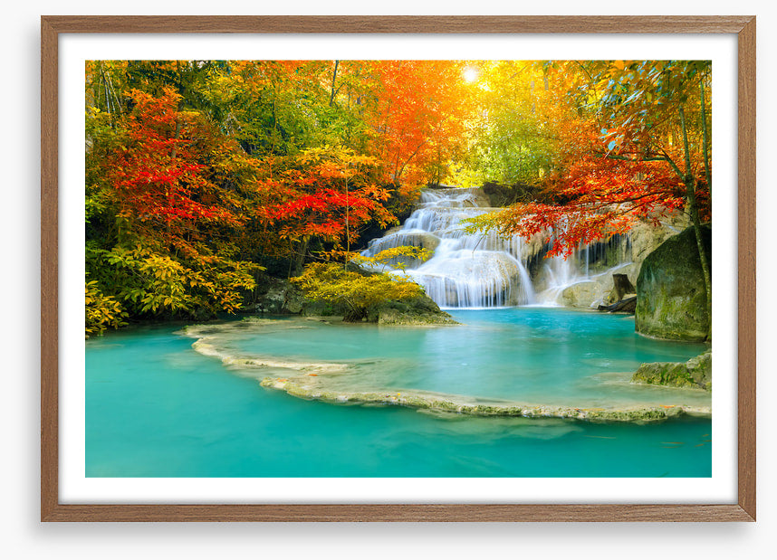 Autumn forest falls