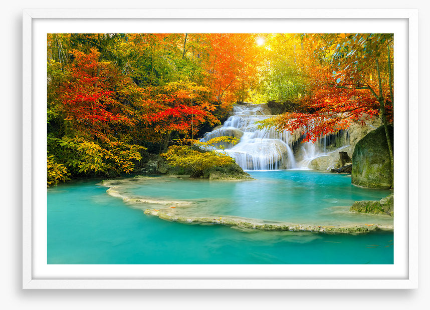 Autumn forest falls