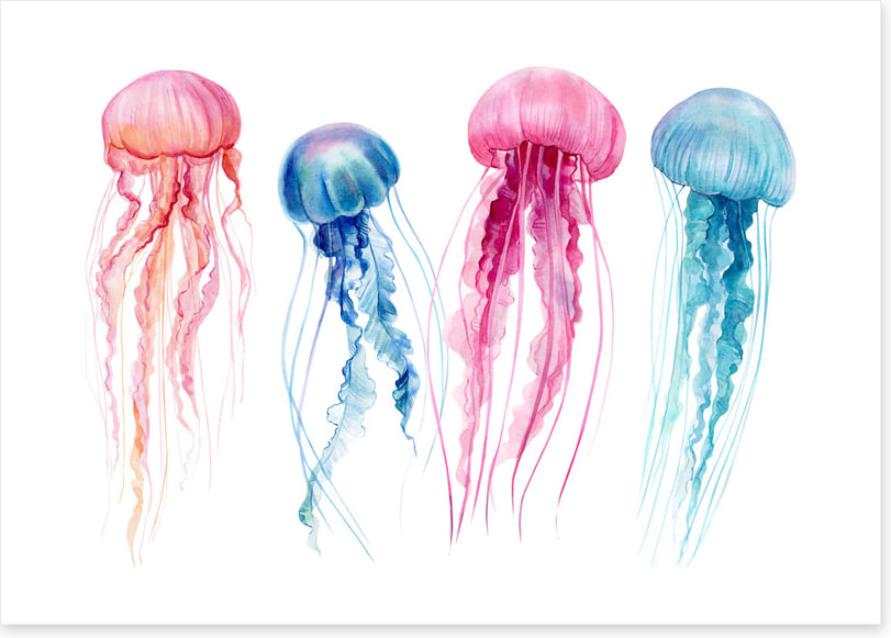 The floating four