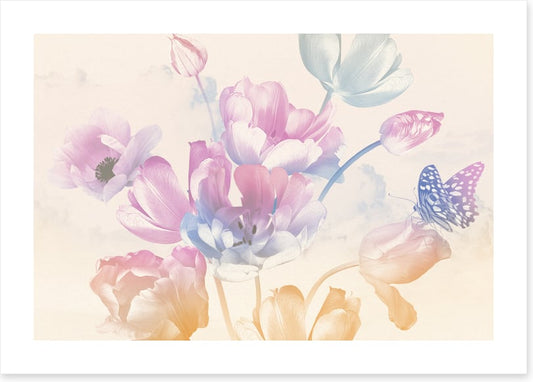 Butterfly blush