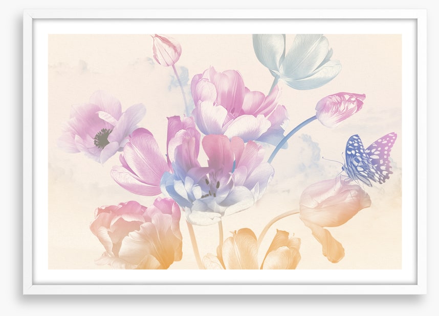 Butterfly blush