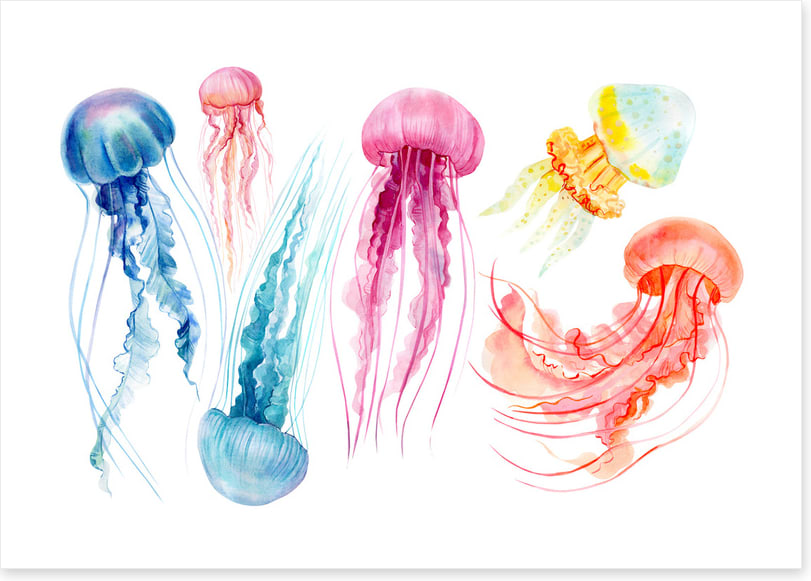 Twirling tentacles