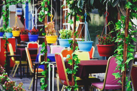 Hanging basket cafe