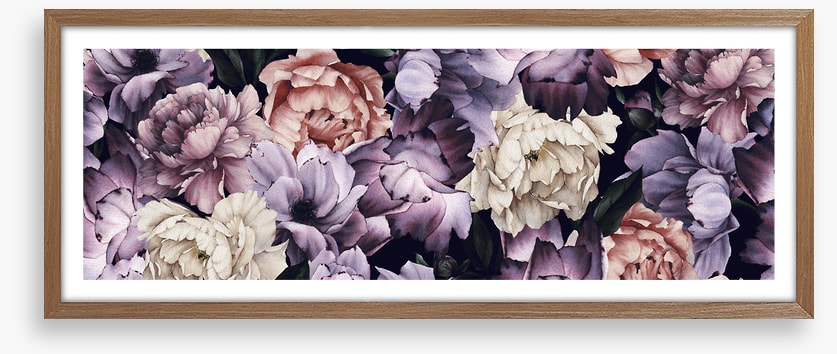 Purple peony panoramic